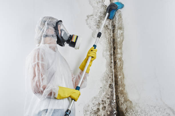 Water Damage Restoration in Como, MS