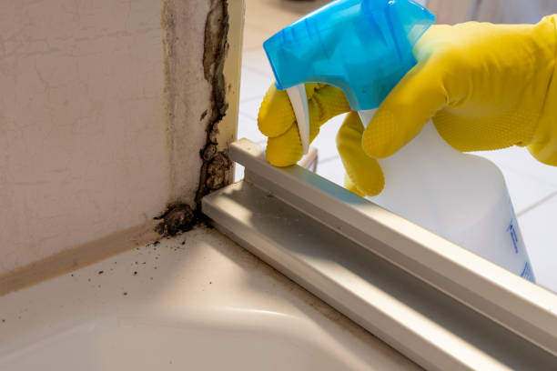 Crawl Space Mold Removal in Como, MS