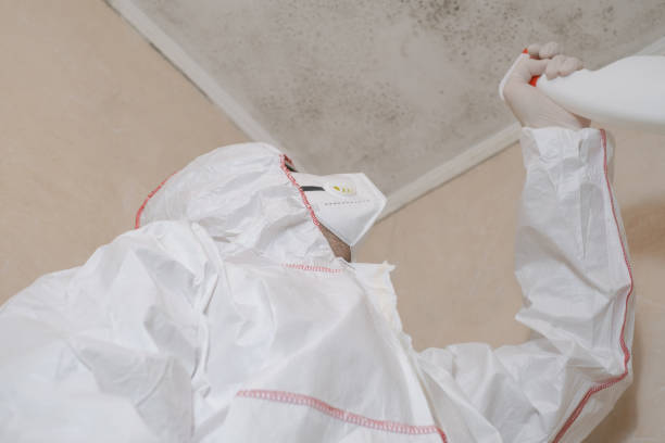 Reliable Como, MS Mold Removal Solutions