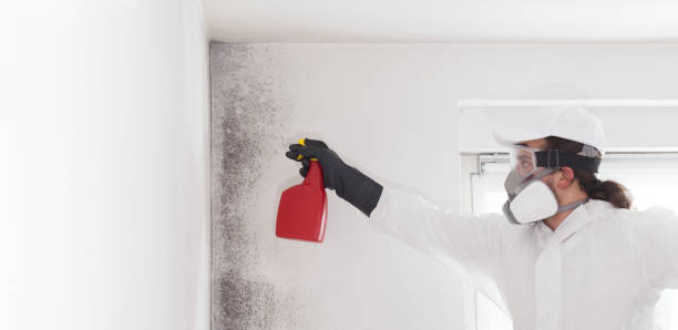 Certified Mold Removal in Como, MS